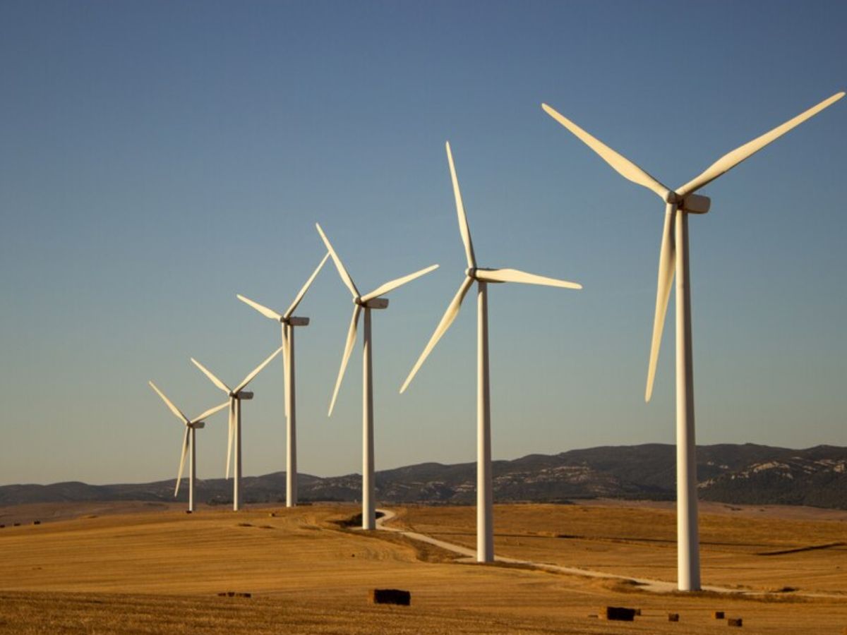 Ionx Wind, Suzlon जैसे मल्टीबैगर ग्रीन एनर्जी शेयरों पर रखें नजर, केयरएज रेटिंग्स की रिपोर्ट से स्टॉक को मिलेगा बूस्ट