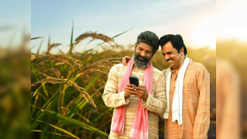 1 दिसंबर से शुरू हो रहा है रबी फसलों के लिए बीमा पंजीकरण, अपनी फसल का बीमा कराएं, टेंशन फ्री रहें