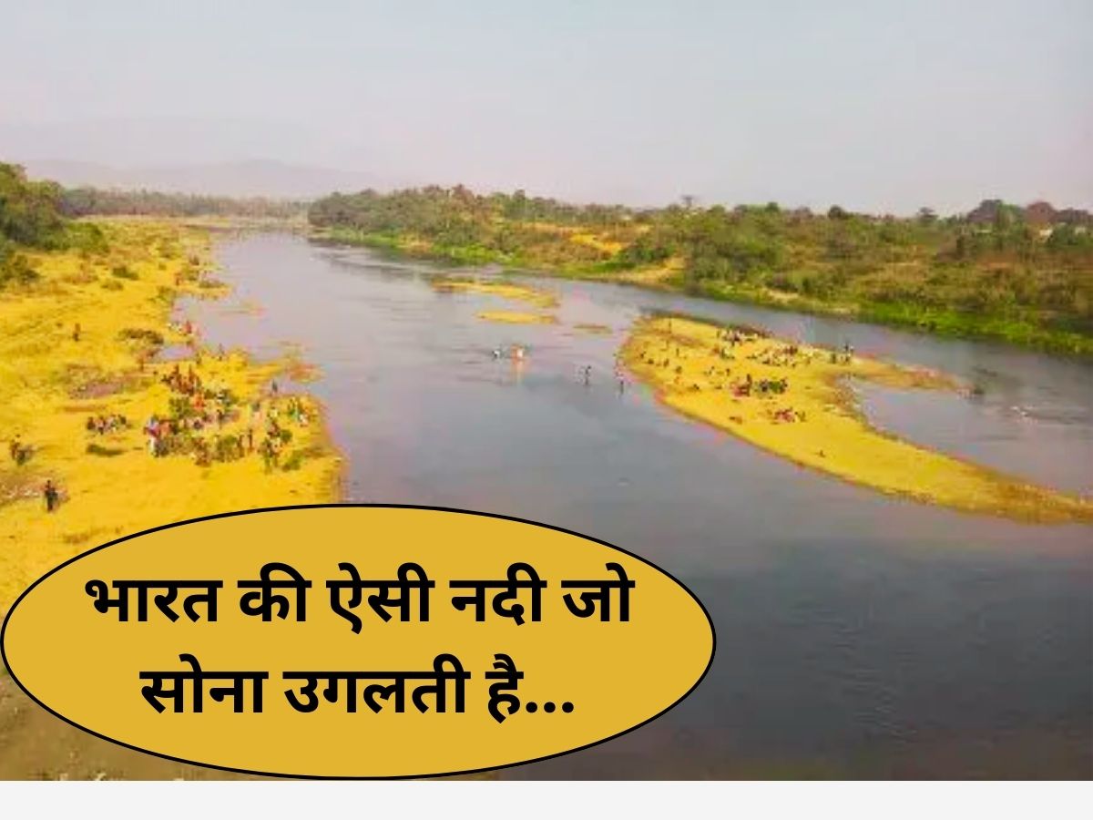 देश की इकलौती ऐसी नदी जिसके बहते पानी के साथ तैरता है Gold, बड़े-बड़े एक्सपर्ट नहीं जान पाए इसका रहस्य