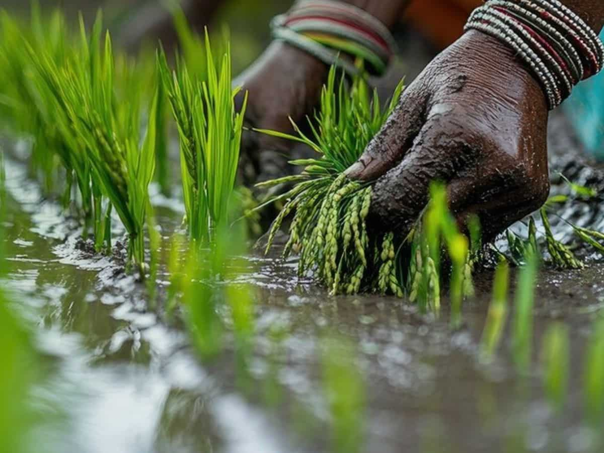 नैनो यूरियो और नैनो डीएपी के बाद अब Nano NPK उर्वरक लाने की तैयारी में IFFCO, सरकार से मांगी मंजूरी