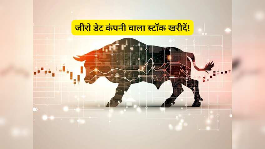 कार के लिए सनरूफ बनाने वाली कंपनी के स्टॉक में होगी तगड़ी कमाई! एक्सपर्ट बुलिश, नोट कर लें टारगेट प्राइस 