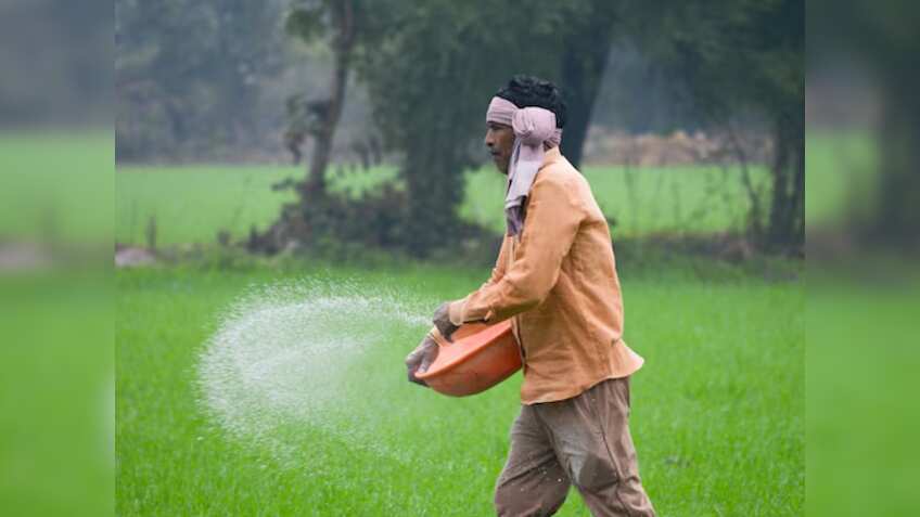 पंजाब में यूरिया की कमी पर सरकारी उर्वरक कंपनी का बयान, कहा- रबी सीजन की मांग को पूरा करने के लिए पर्याप्त भंडार