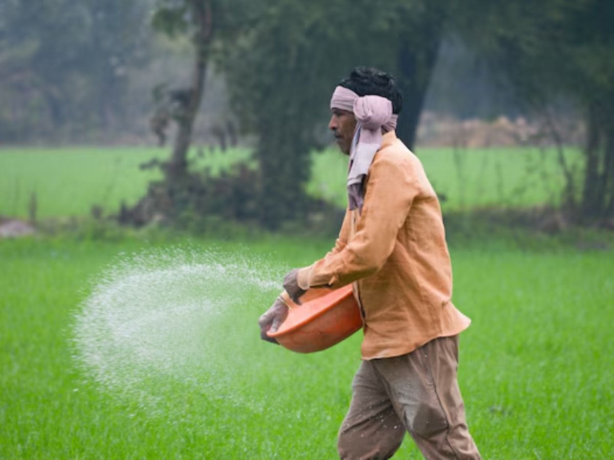 पंजाब में यूरिया की कमी पर सरकारी उर्वरक कंपनी का बयान, कहा- रबी सीजन की मांग को पूरा करने के लिए पर्याप्त भंडार