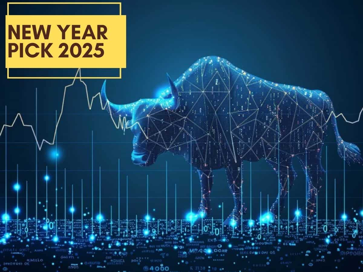 नए साल में कमाई के लिए खरीद लें ये 2 Stock, एक्सपर्ट्स ने बनाया New Year Pick 2025