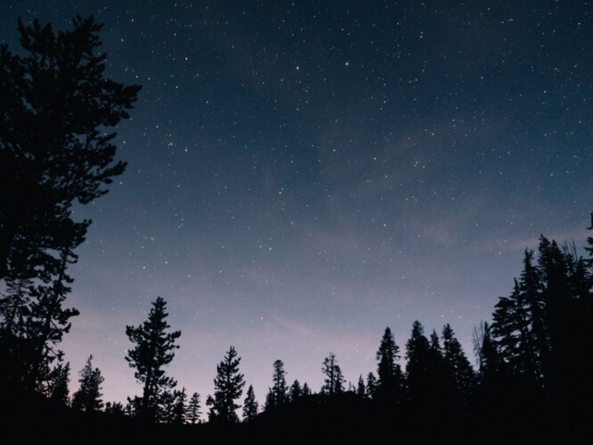 Winter Solstice 2024: 21 दिसंबर को है साल का सबसे छोटा दिन और सबसे लंबी रात, जानिए इसका कारण