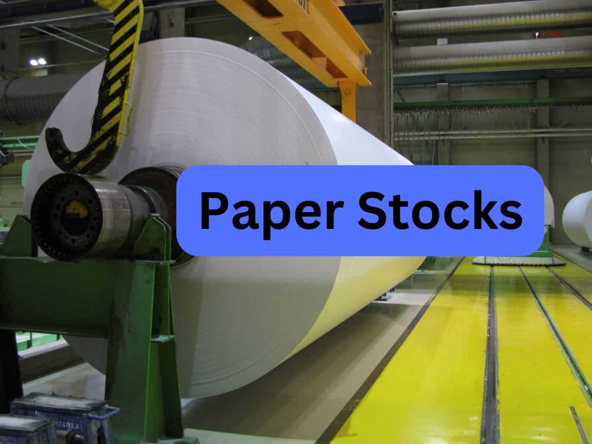 Paper Stocks पर रखें नजर, FY25 में 2-3% घटेगा पेपर इंडस्ट्री का रेवेन्यू