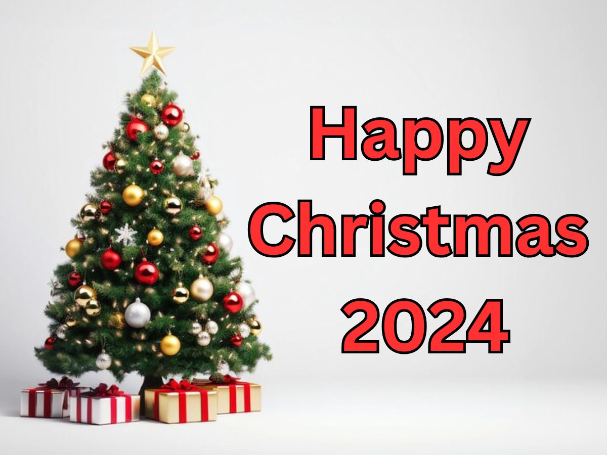 Christmas 2024: क्रिसमस ट्री का ईसाह मसीह से क्या है कनेक्शन! हर साल क्रिसमस पर इसे क्यों सजाया जाता है?
