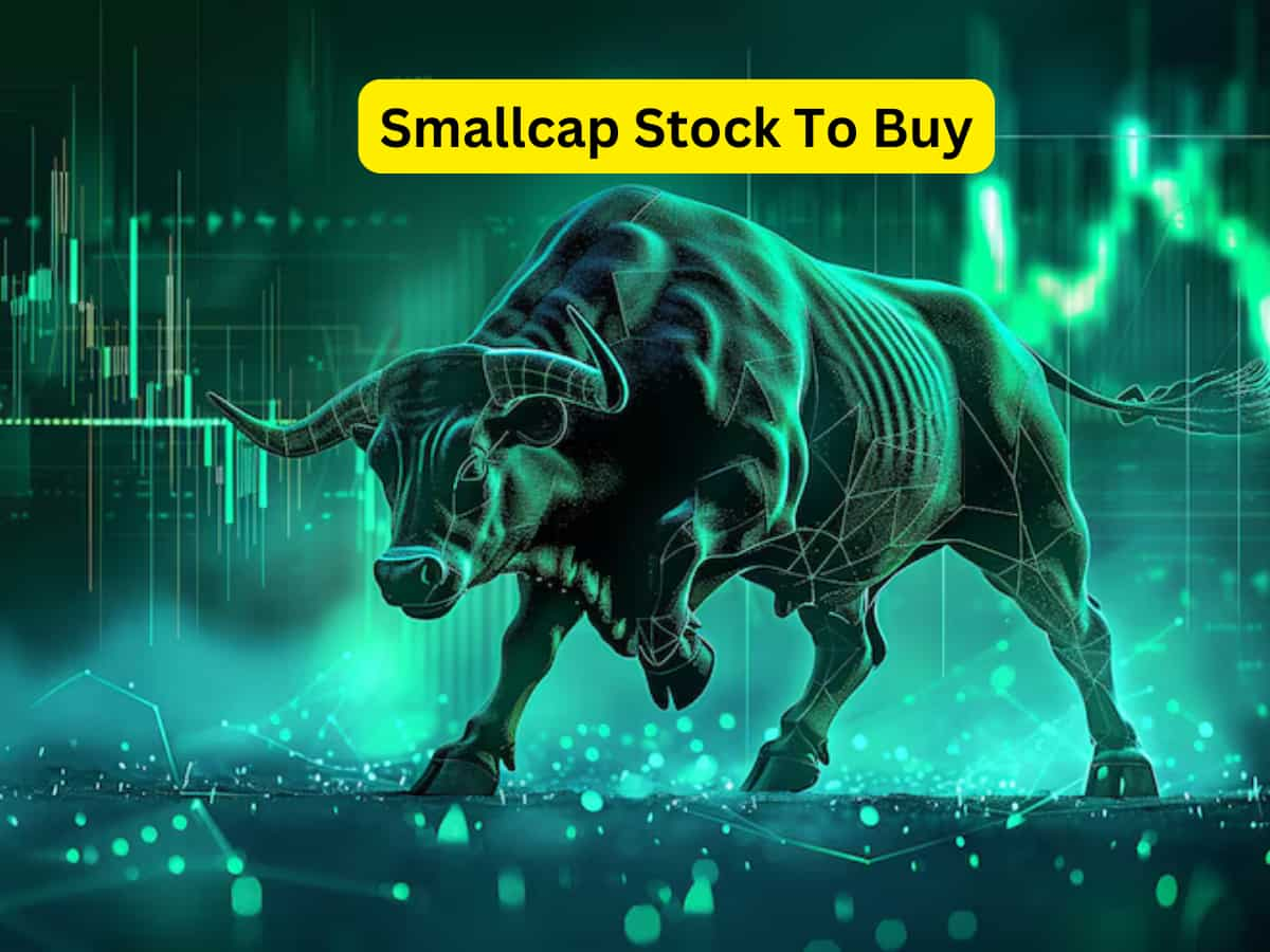 Smallcap Stock पर बुलिश टारगेट, एक्सपर्ट ने कहा- पोर्टफोलियो में रखें ये शेयर