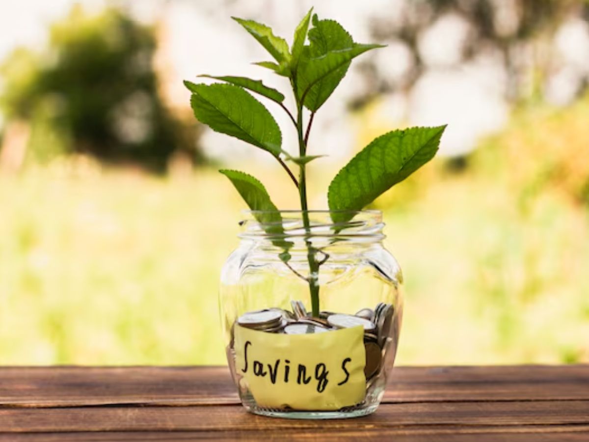 Mutual Funds: 2025 में बनाए नई फाइनेंशियल स्ट्रैटेजी, 3 के पावर के साथ शुरू अपना नया साल