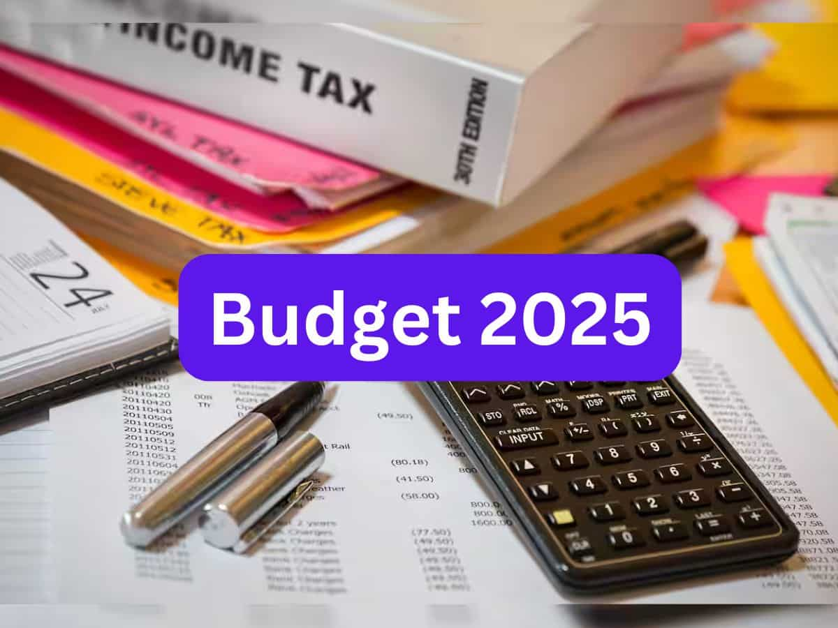 Budget 2025: नए साल में पेट्रोल-डीजल की कीमतों में होगी कटौती? CII ने सरकार को दिया ये सुझाव