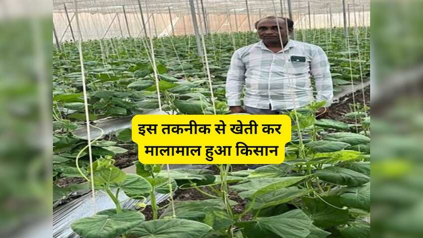 Success Story: इस तकनीक से खेती कर मालामाल हुआ ये किसान, कमा लिया ₹37 लाख