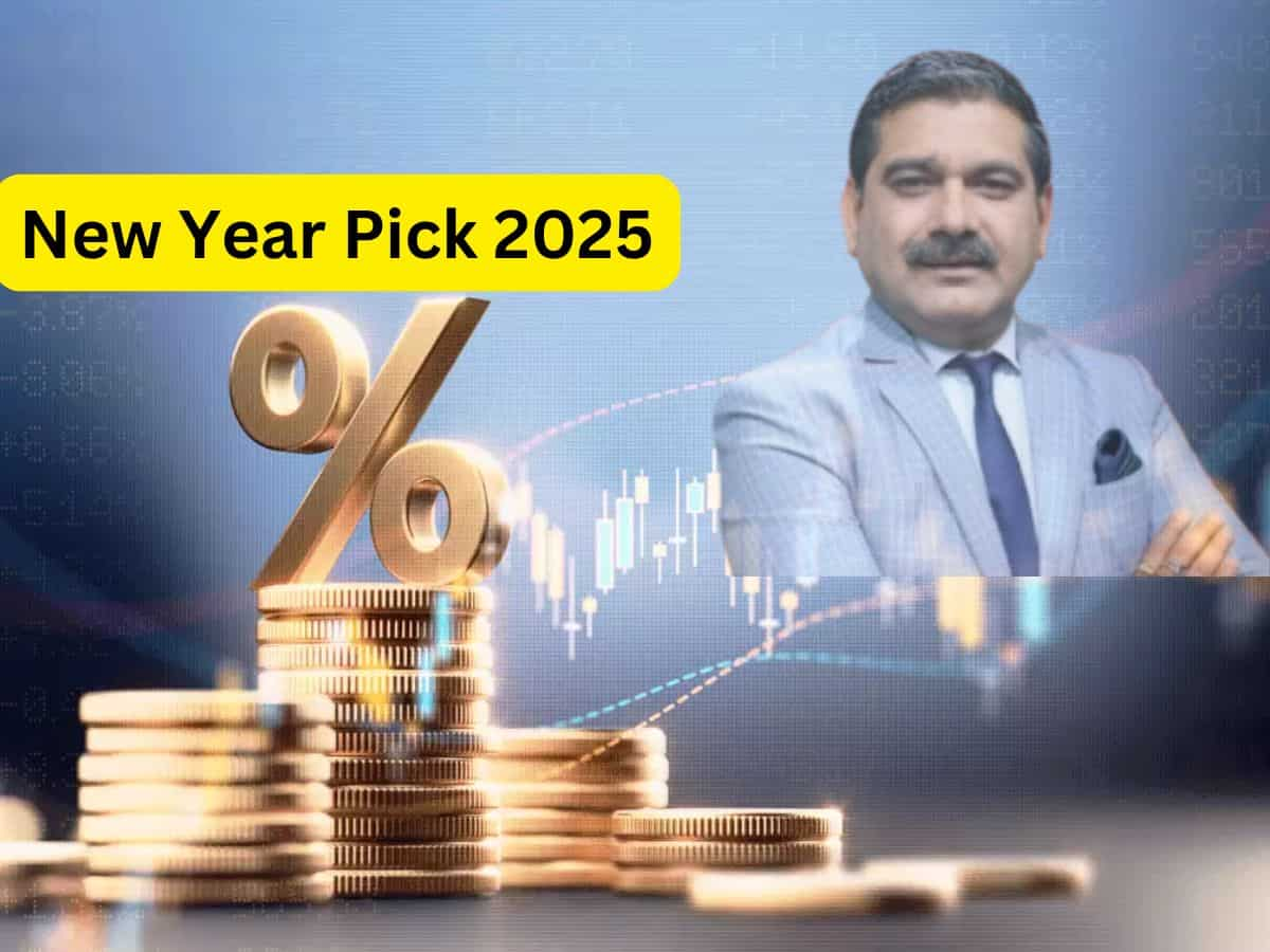 2025 में निवेश के लिए अनिल सिंघवी ने चुने 3 शानदार Stocks, मिलेगा 50% तक बंपर रिटर्न