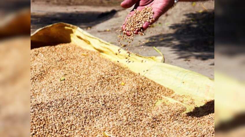 इस पड़ोसी देश को 2 लाख टन गेहूं निर्यात करेगा भारत, जानिए एक्सपोर्ट बैन के बावजूद सरकार ने क्यों दी मंजूरी