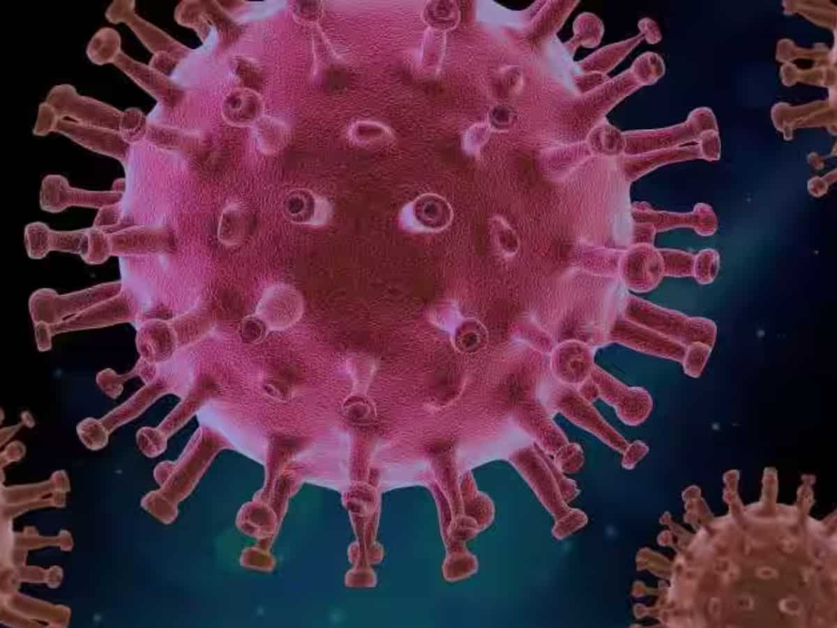 HMPV Virus: भारत के इस शहर में HMPV का पहला मामला आया सामने, 8 महीने का बच्‍चा हुआ संक्रमित