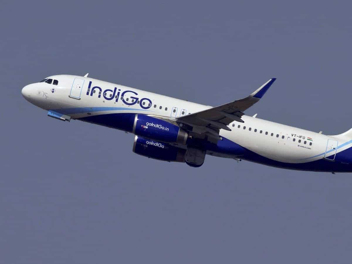 Indigo Share Price