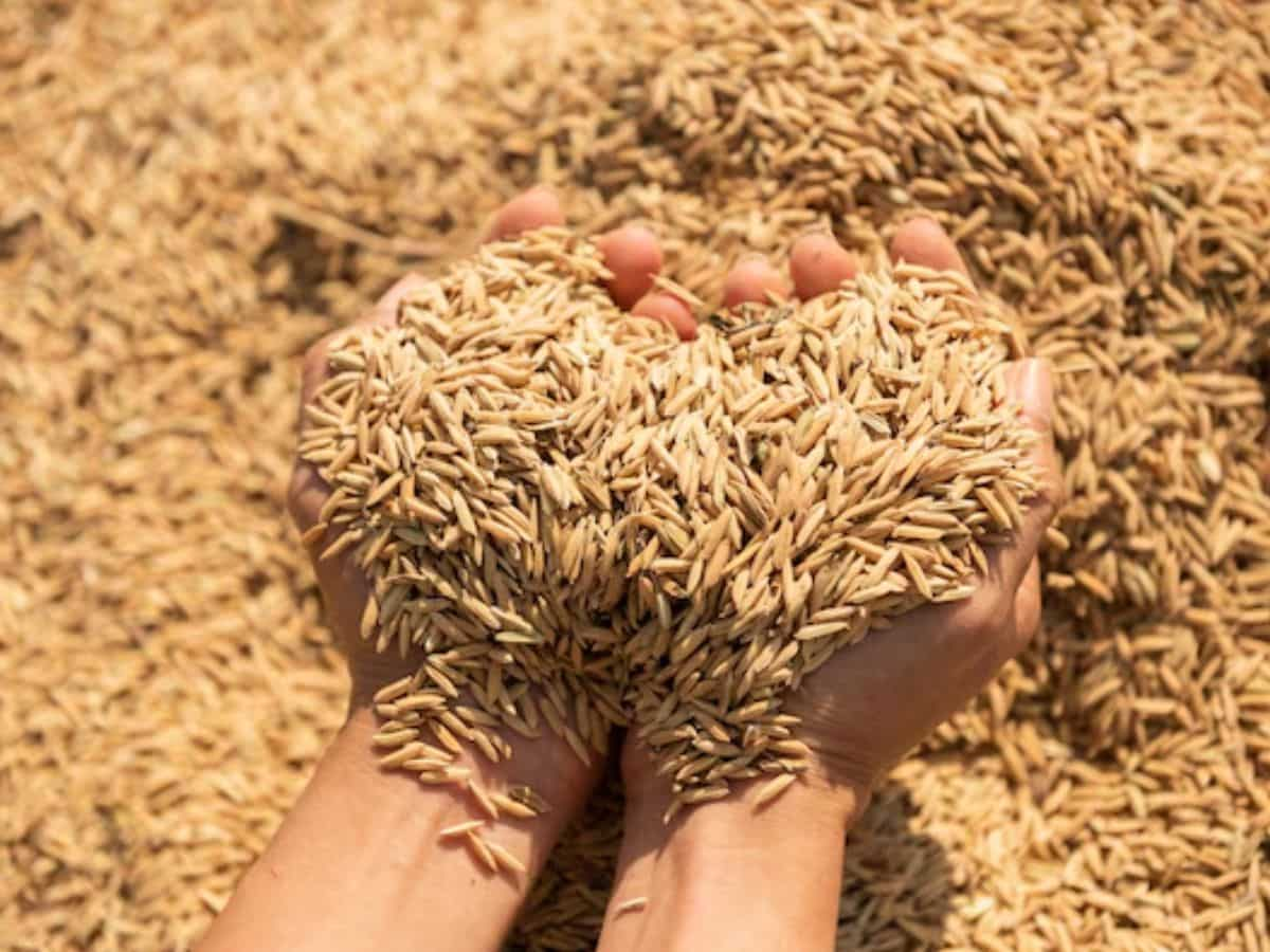 Paddy Procurement: इस राज्य में सरकारी केंद्रों पर धान की खरीदारी पर ब्रेक, निराश लौट रहे हजारों किसान