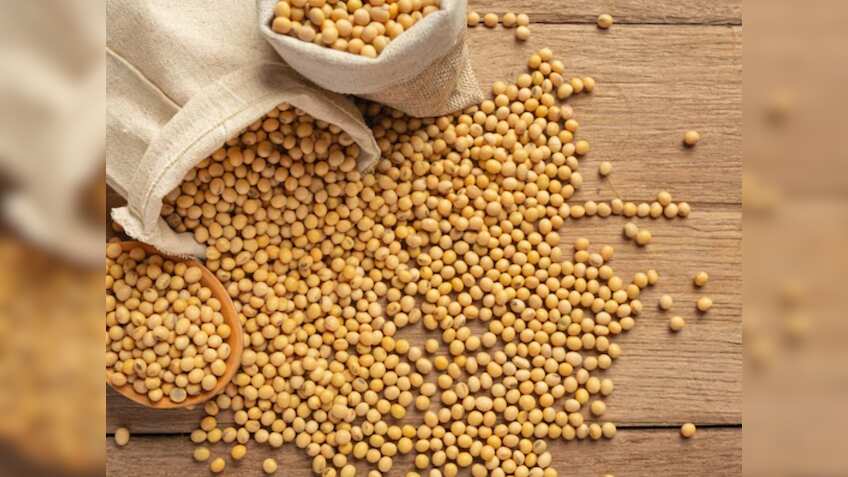 किसानों को बड़ा तोहफा! अब इस तारीख तक सोयाबीन बेच सकेंगे किसान, सरकार ने बढ़ाई डेडलाइन