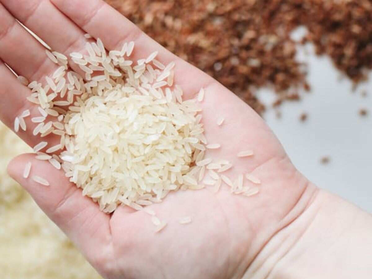 सरकार का बड़ा फैसला, राज्यों, एथेनॉल उत्पादन के लिए FCI चावल की कीमत 550 रुपये प्रति क्विंटल घटाई