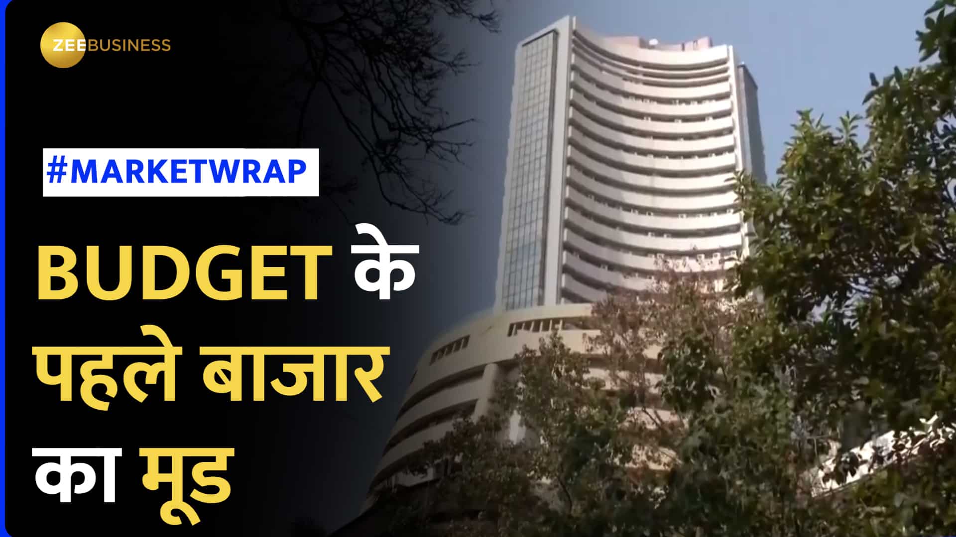 Market Wrap: Budget से पहले बाजार का मूड, वॉलेटिलिटी में भी डटे रहे