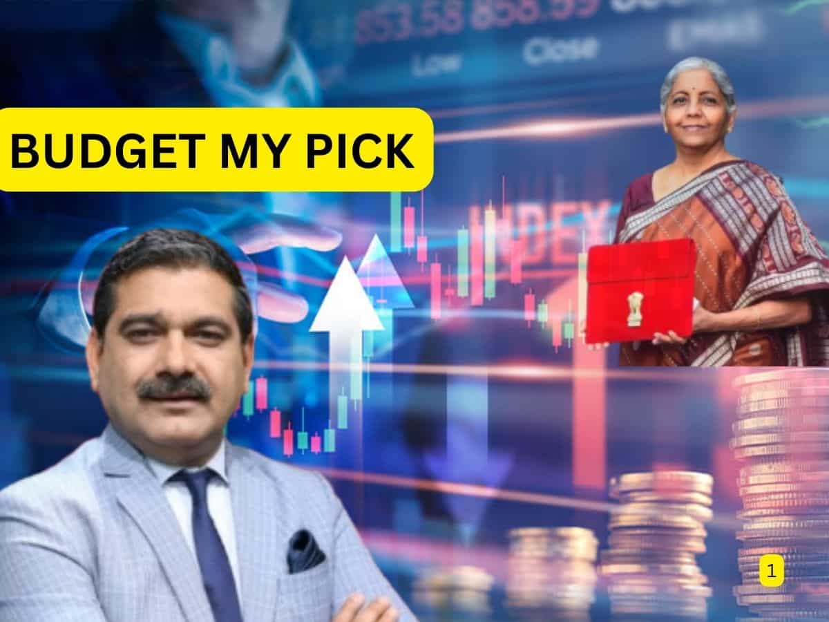 55% तक रिटर्न, अनिल सिंघवी ने चुना BUDGET MY PICK; 1-3 साल के लिए करें निवेश