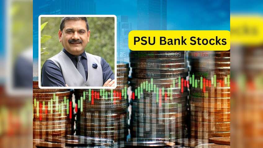  75% रिटर्न के लिए खरीदें यह PSU Bank Stock, अनिल सिंघवी ने आपके पोर्टफोलियो के लिए चुना