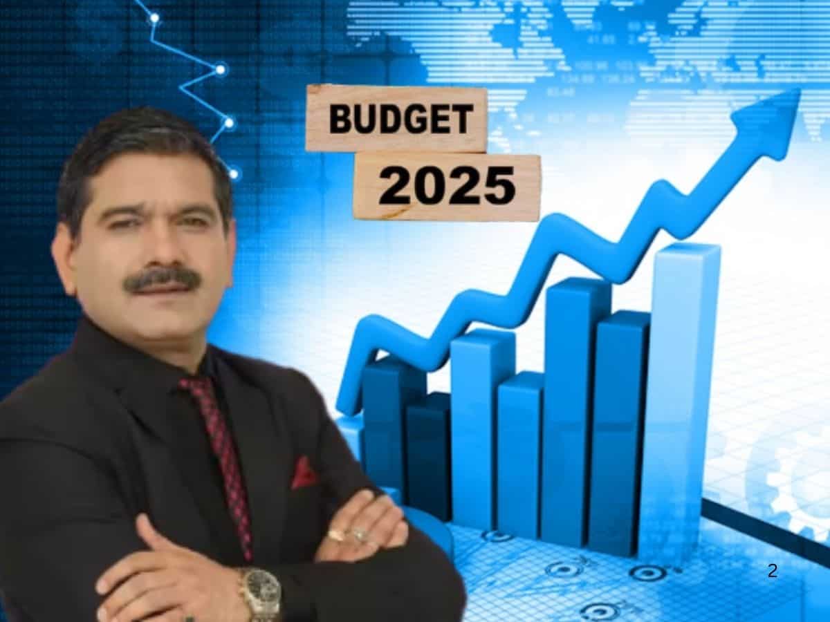 Budget 2025 से पहले खरीदें यह सस्ता शेयर, अनिल सिंघवी ने कहा- डबल होगा भाव
