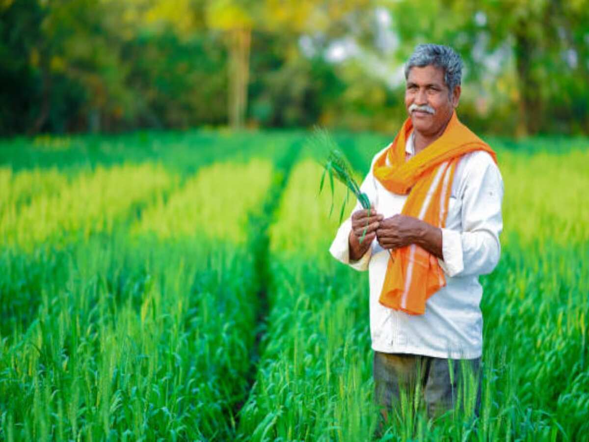 मोदी सरकार ने पीएम-आशा योजना को 2025-26 तक जारी रखने की दी मंजूरी