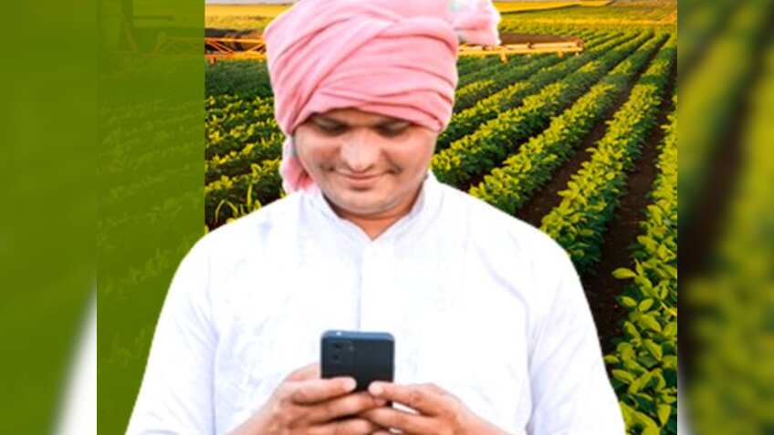 PM Kisan: 19वीं किस्त का पैसा नहीं आया तो क्या करें? यहां करें शिकायत