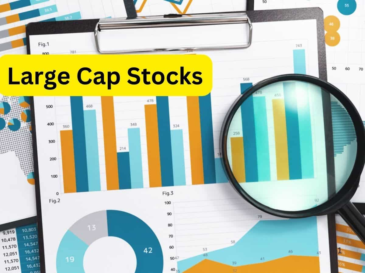 66% तक रिटर्न दिलाएंगे ये 5 लार्जकैप Stocks, पोर्टफोलियो में करें शामिल