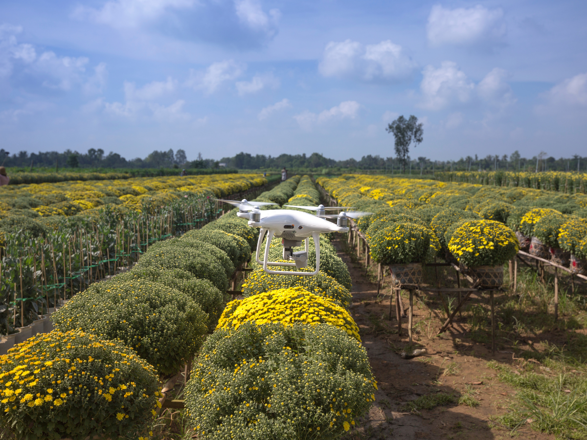 क्या है ड्रोन दीदी योजना की खासियत? जिसका फैन हुआ अमेरिका