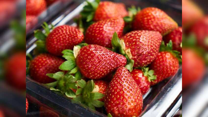 ग्रेजुएशन के बाद इस युवक ने खेती को बनाया करियर, स्ट्रॉबेरी की खेती से कमा लिया 2 लाख रुपये