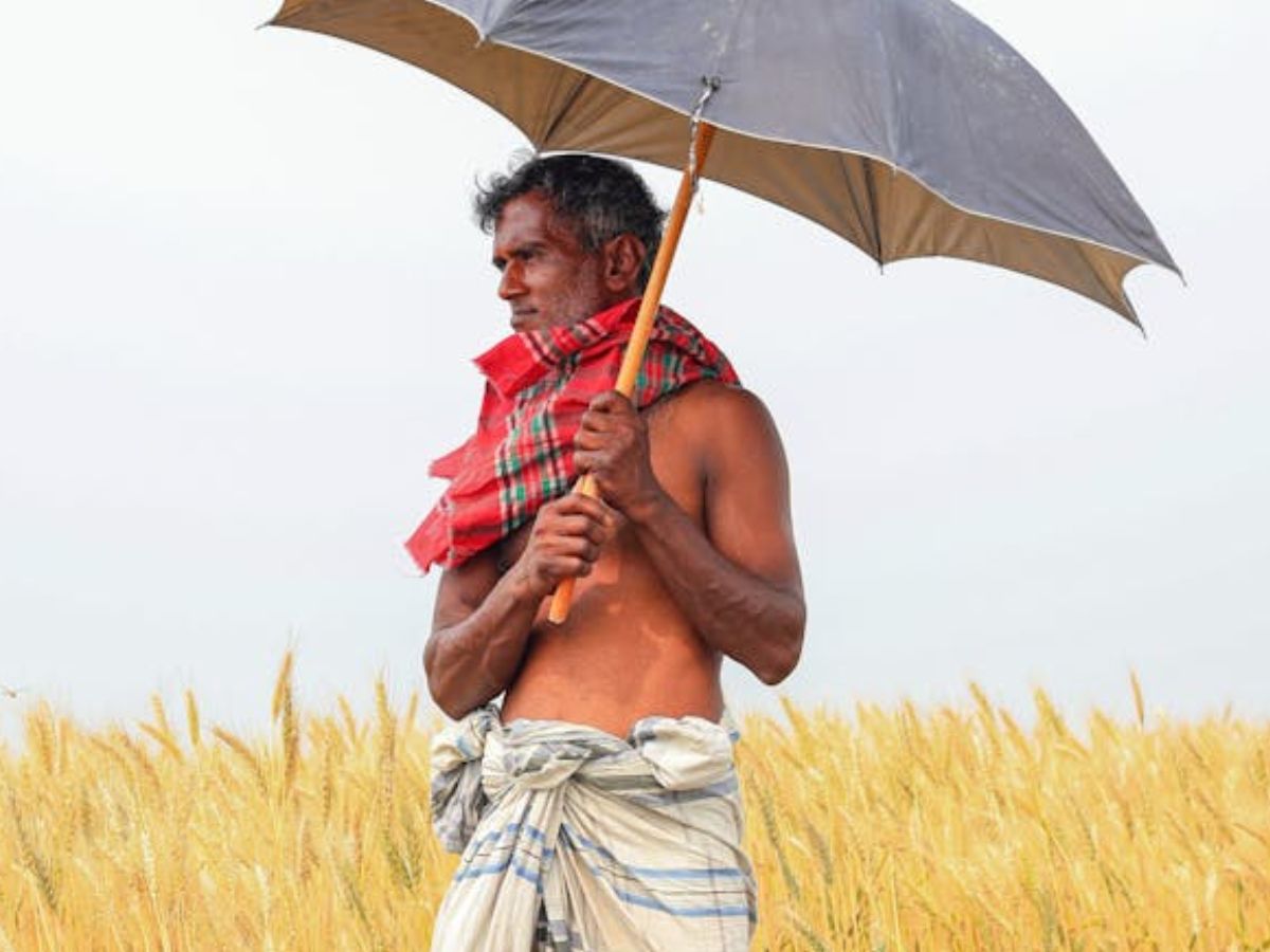 सरकार का बड़ा फैसला, फसल अवशेष जलाने वाले किसानों को नहीं मिलेगा गेहूं की खरीद का फायदा