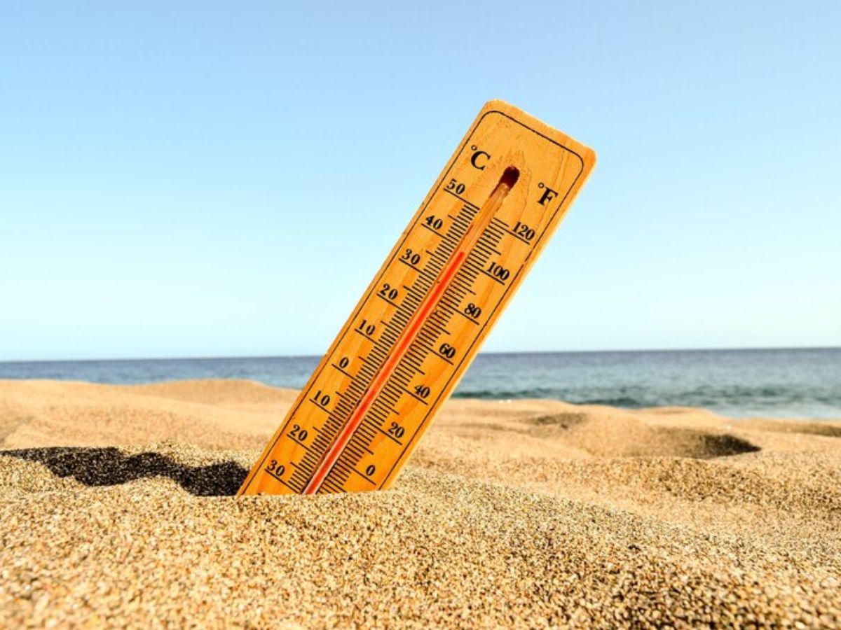 मार्च के महीने में झुलसाने लगी गर्मी, इन राज्यों के लिए IMD ने जारी किया Heat Wave का अलर्ट