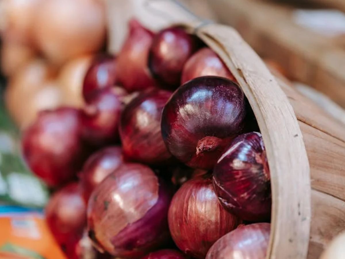 प्याज की गिरती कीमतों के बीच सरकार का बड़ा फैसला, किसानों को मिलेगा फायदा