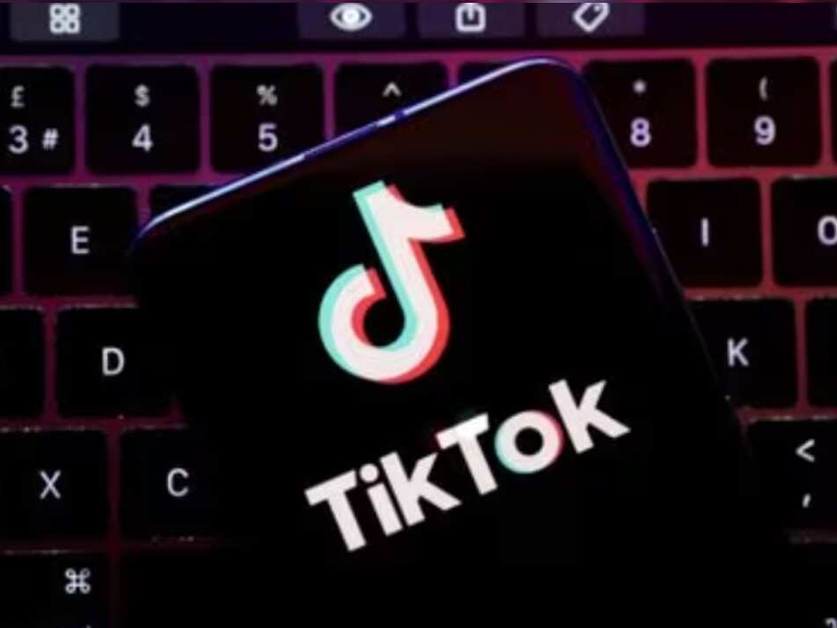 TikTok को खरीदना चाहता है Perplexity AI, भारतीय मूल के फाउंडर ने खड़ा किया है ये Startup, गूगल को देता है टक्कर