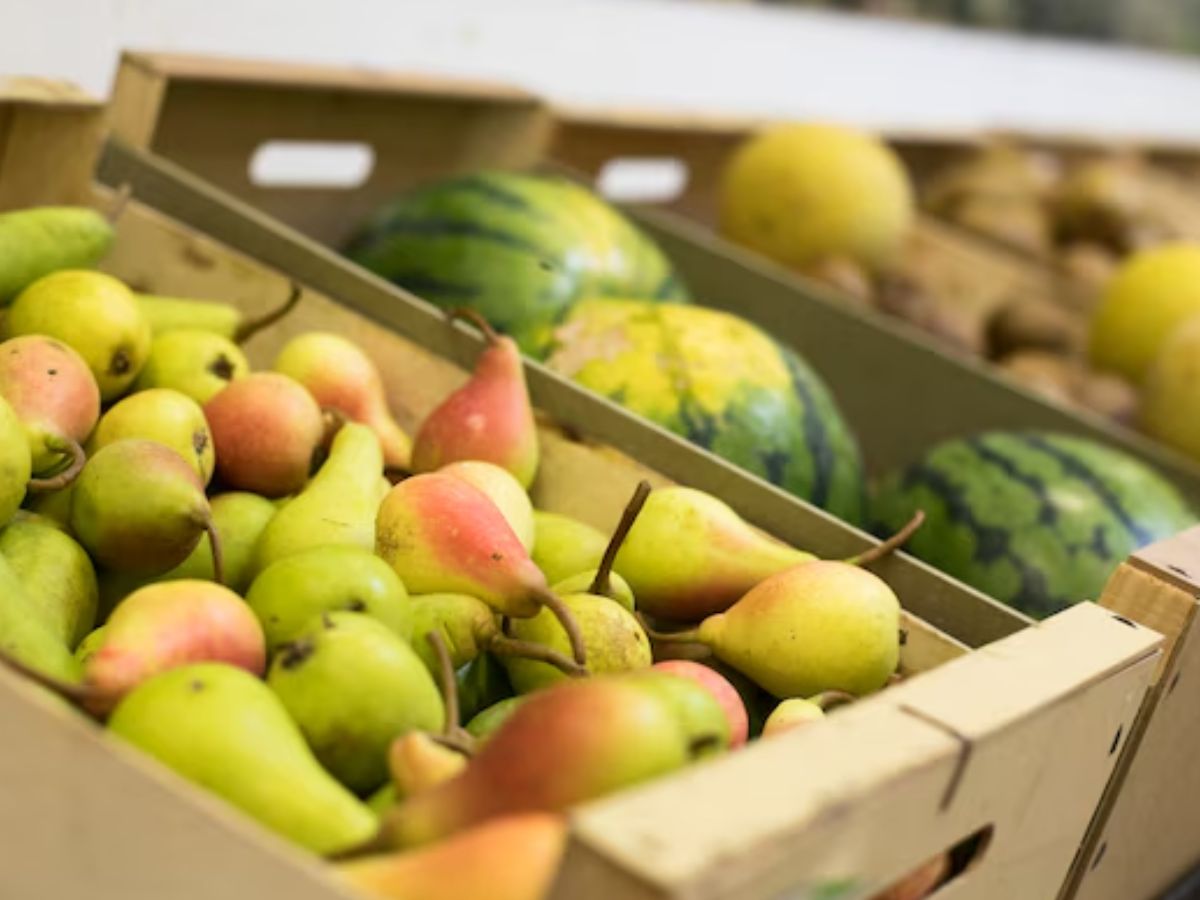 Fruit Exports: 85 से अधिक देश खा रहे भारत के ताजे फल, 5 वर्षों में फलों का निर्यात 47.5% बढ़ा