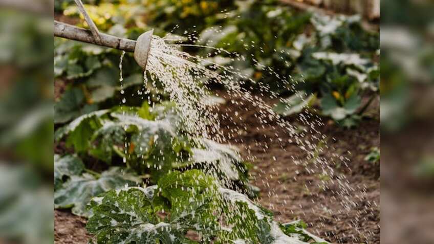 क्या है प्राकृतिक खेती?