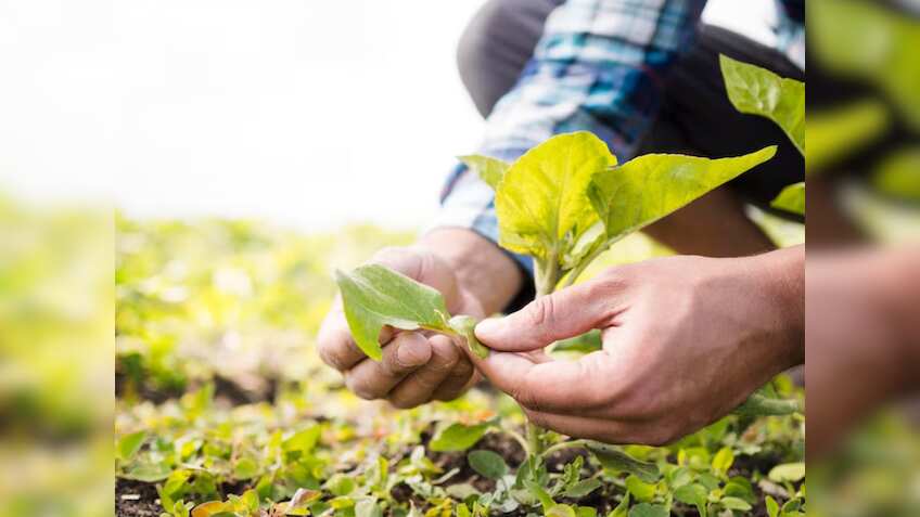 हर जिले में बनेंगे 2 बायो इनपुट रिसोर्स सेंटर