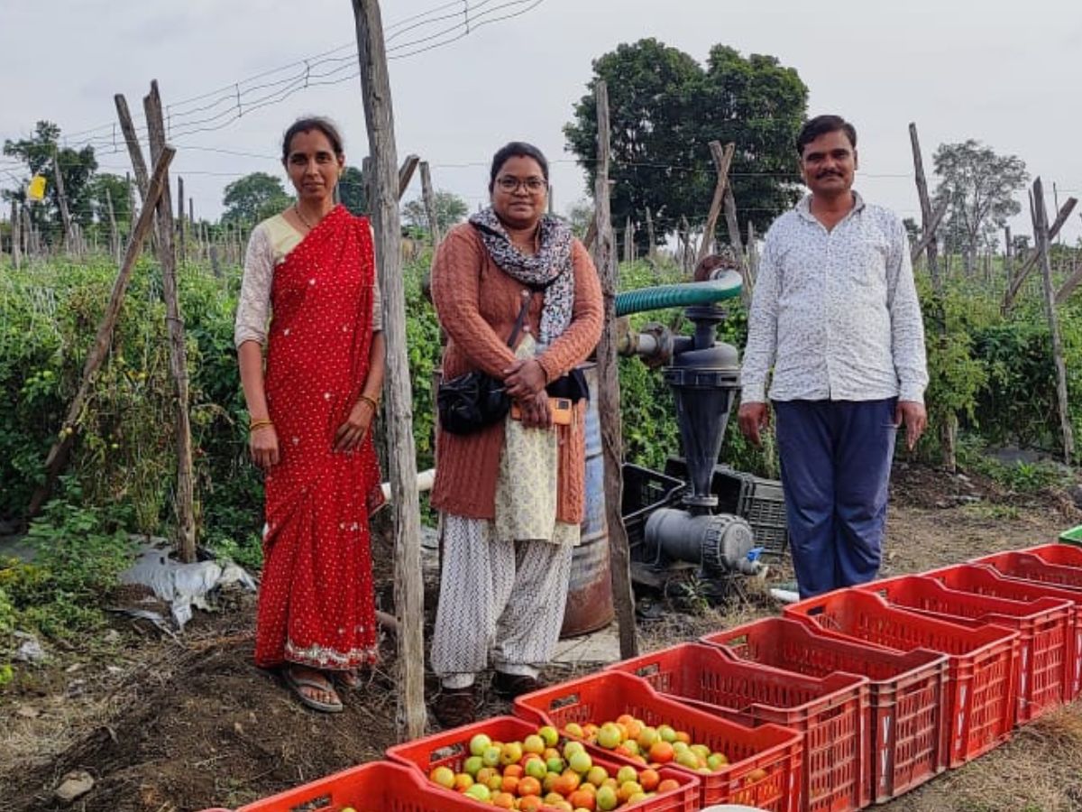 पारंपरिक खेती छोड़ किसान ने शुरू उद्यानिकी फसलों की खेती, सालाना 15 लाख रुपये से ज्यादा की कमाई