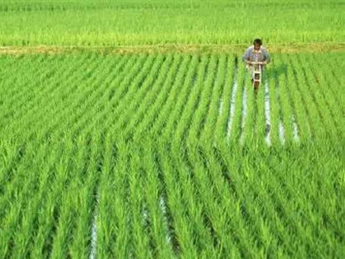 PMKSY के तहत 1600 करोड़ रुपये की एम-सीएडीडब्ल्यूएम उप-योजना को मोदी सरकार से मिली मंजूरी