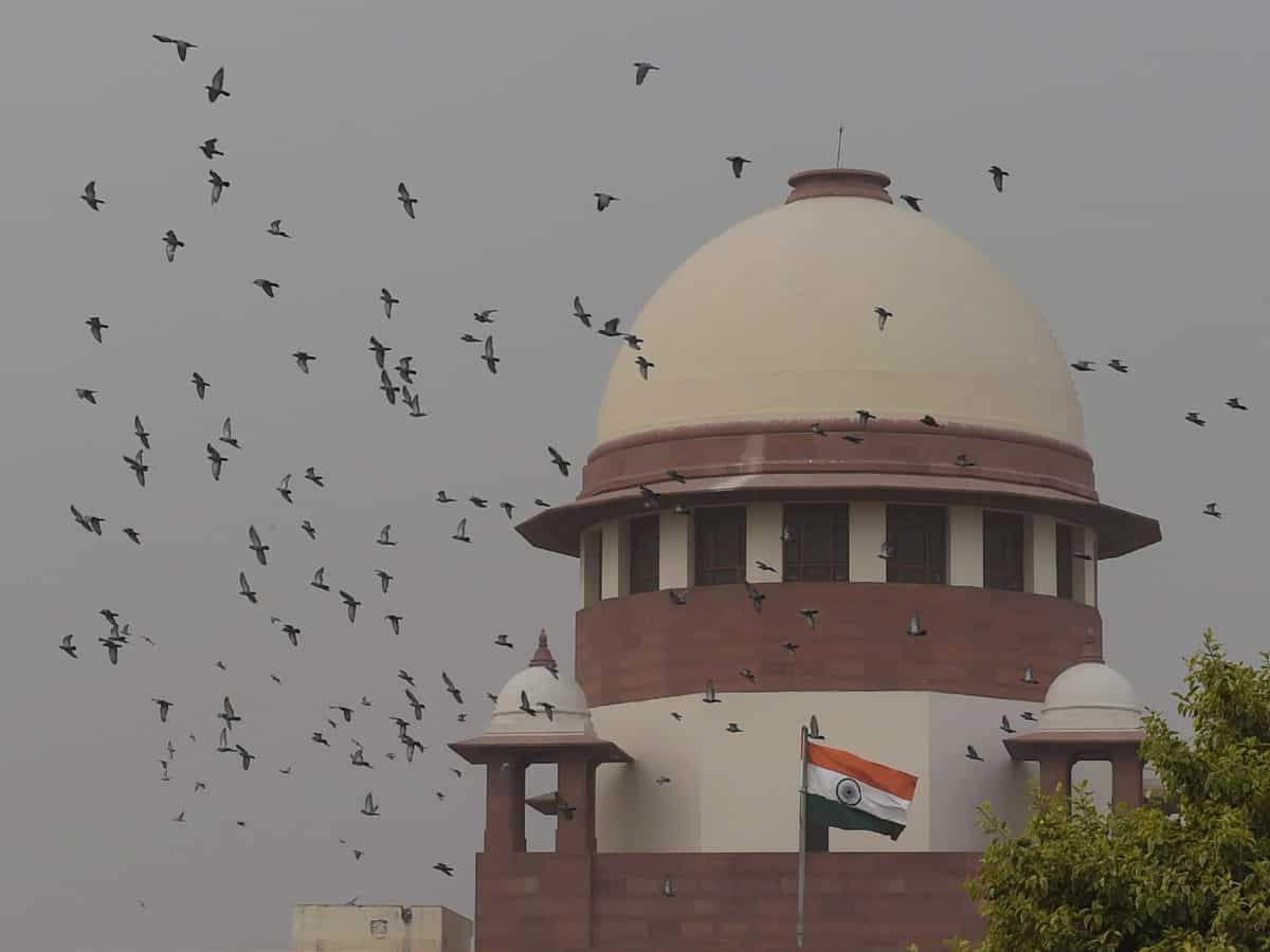आपके बच्चों को मोटापे से बचाएगा सुप्रीम कोर्ट का ये आदेश, 3 महीने के भीतर पैक्ड फूड पर आएंगे नए नियम!