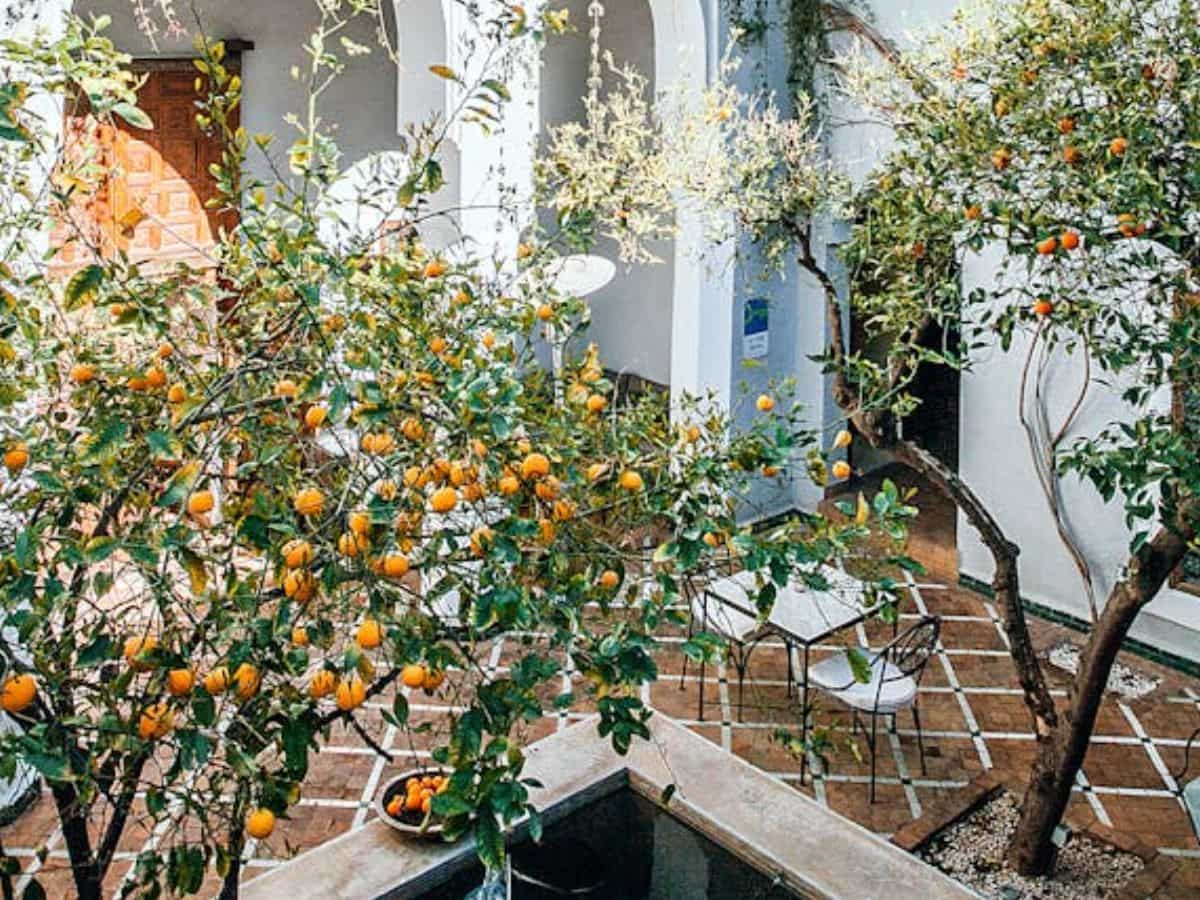 कौन उठा सकता है फायदा