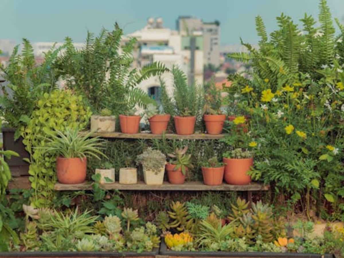 कैसे करें आवेदन