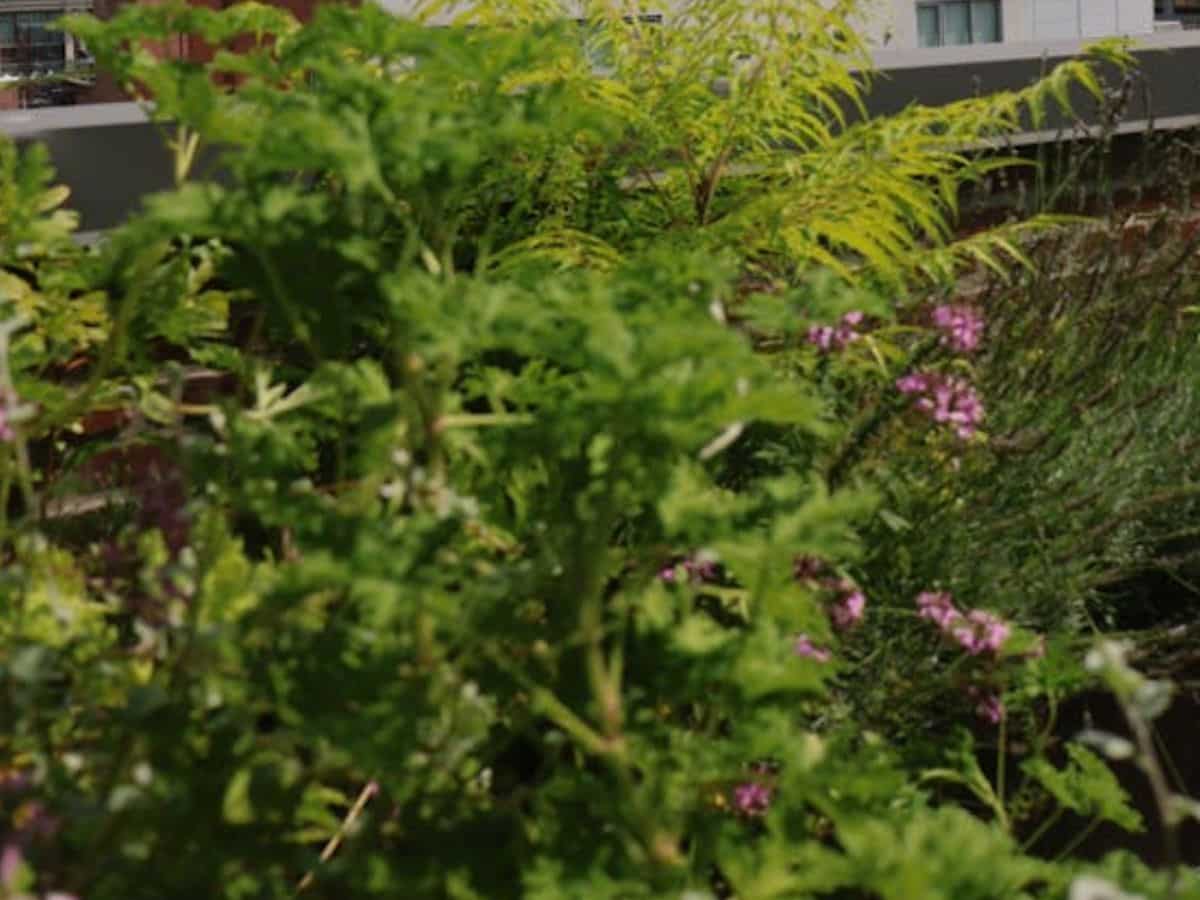 यहां करें संपर्क