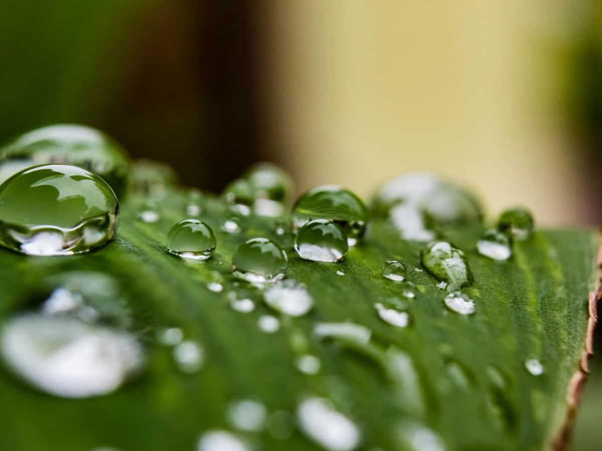 बारिश की बूंदे