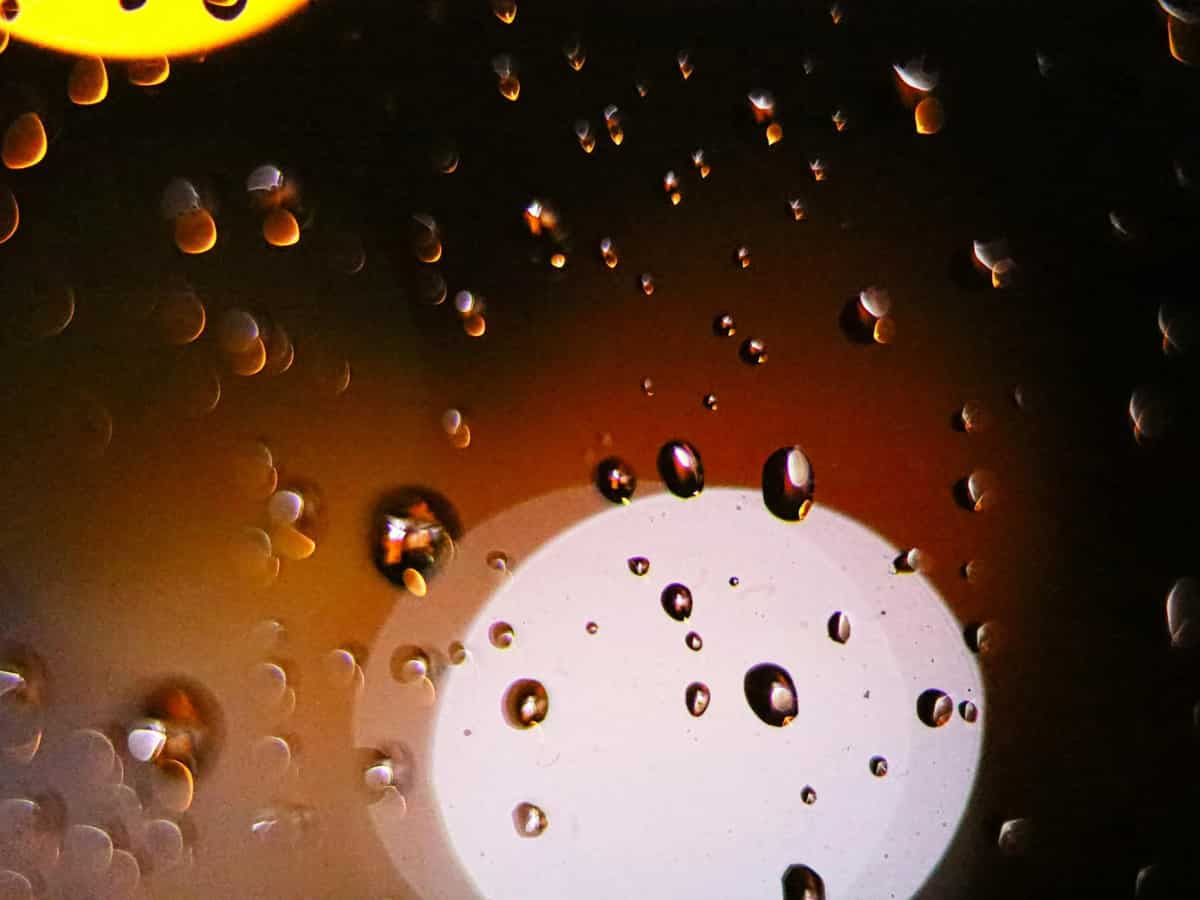 क्या कहता है विज्ञान