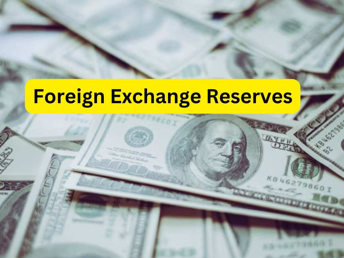 Forex Reserves: लगातार छठे हफ्ते बढ़ा विदेशी मुद्रा भंडार, 1.57 अरब डॉलर बढ़कर हो गया इतना