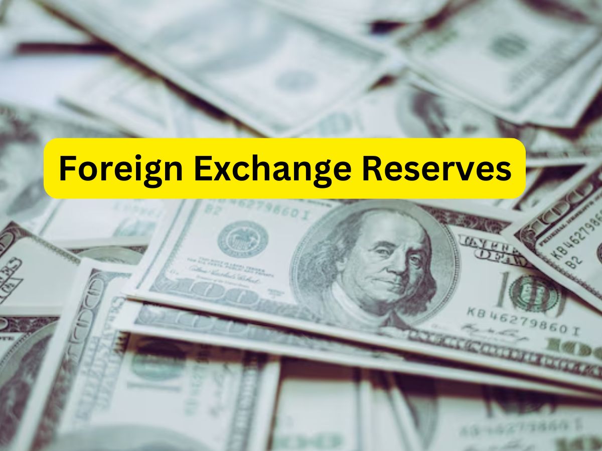 Forex Reserves: लगातार छठे हफ्ते बढ़ा विदेशी मुद्रा भंडार, 1.57 अरब डॉलर बढ़कर हो गया इतना