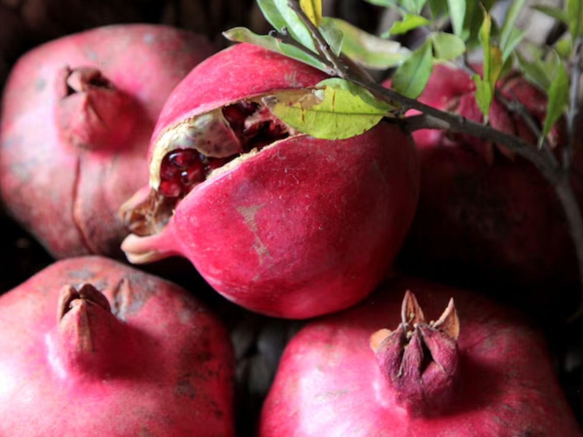 'भगवा' अनार का दीवाना हुआ ये देश, भारत ने समुद्र के रास्ते पहली खेप निर्यात की