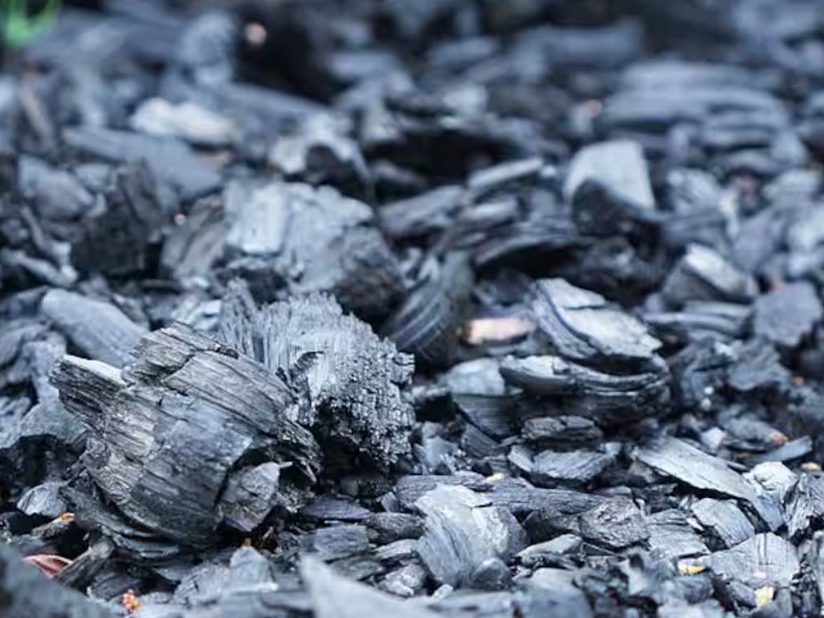 Coal Trade Exchange: कोयला भी बनेगा कमोडिटी, Coal Exchange पर होगी खरीद-फरोख्त, जानें पूरी डीटेल